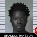 Brandon Hayes Jr mugshot