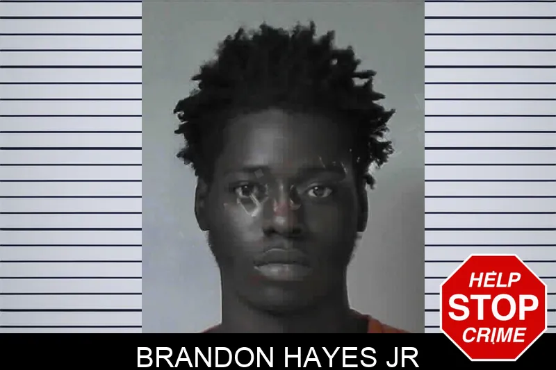 Brandon Hayes Jr mugshot