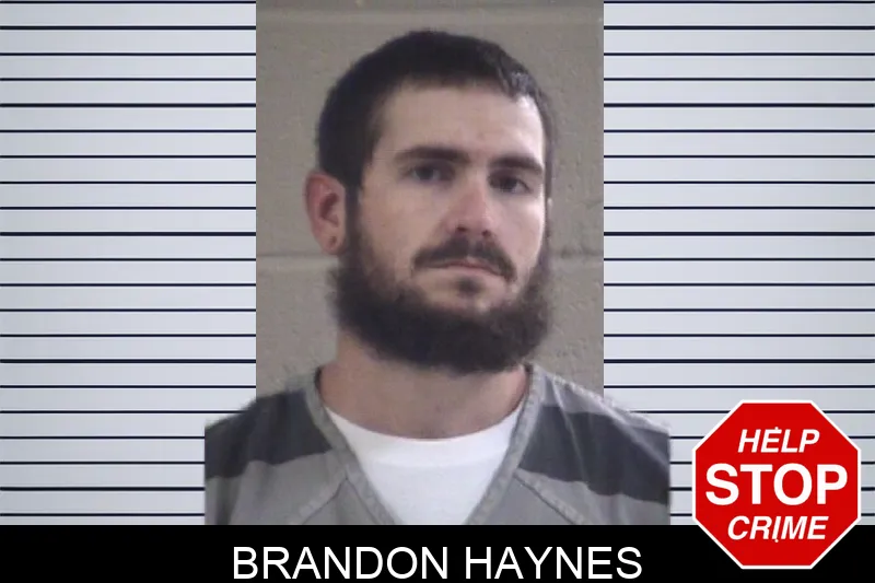Brandon Haynes mugshot