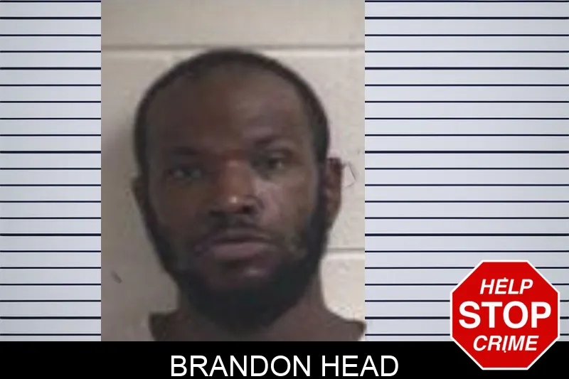 Brandon Head mugshot – Henry County , Georgia Brandon Head mugshot