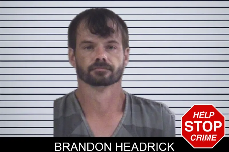 Brandon Headrick mugshot