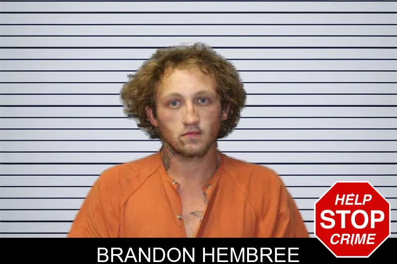 Brandon Hembree mugshot – Thomas County , Georgia Brandon Hembree mugshot