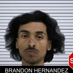 Brandon Hernandez mugshot