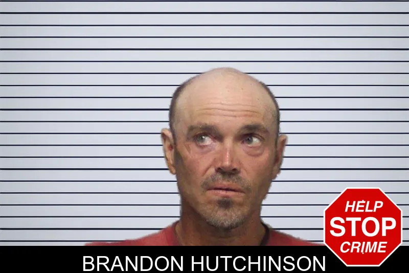 Brandon Hutchinson mugshot – White County , Georgia Brandon Hutchinson mugshot