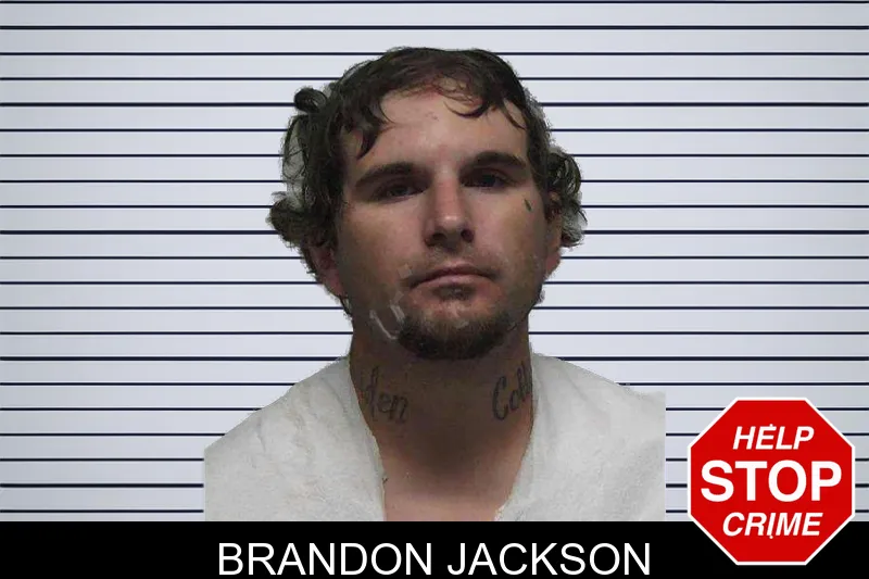 Brandon Jackson mugshot