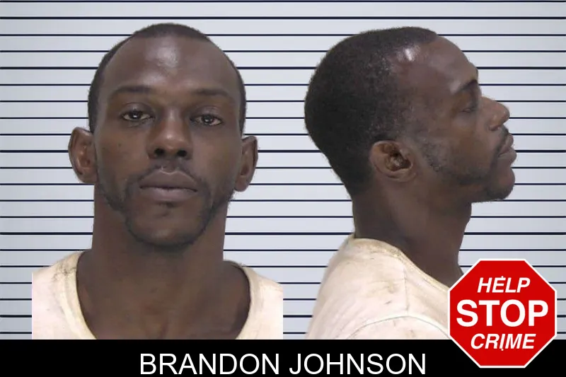Brandon Johnson mugshot