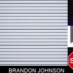 Brandon Johnson mugshot