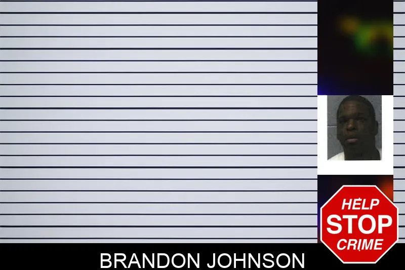Brandon Johnson mugshot