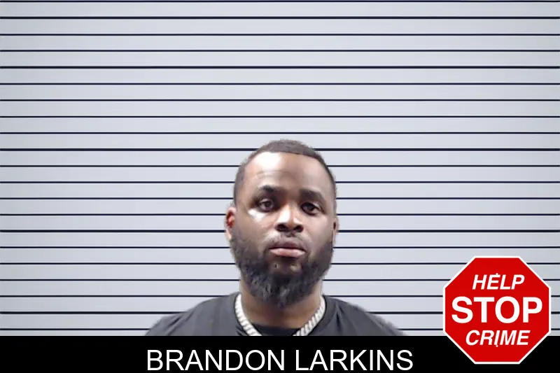 Brandon Larkins mugshot