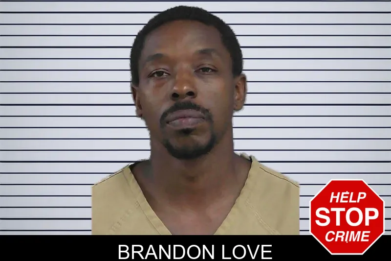 Brandon Love mugshot – Gordon County , Georgia Brandon Love mugshot