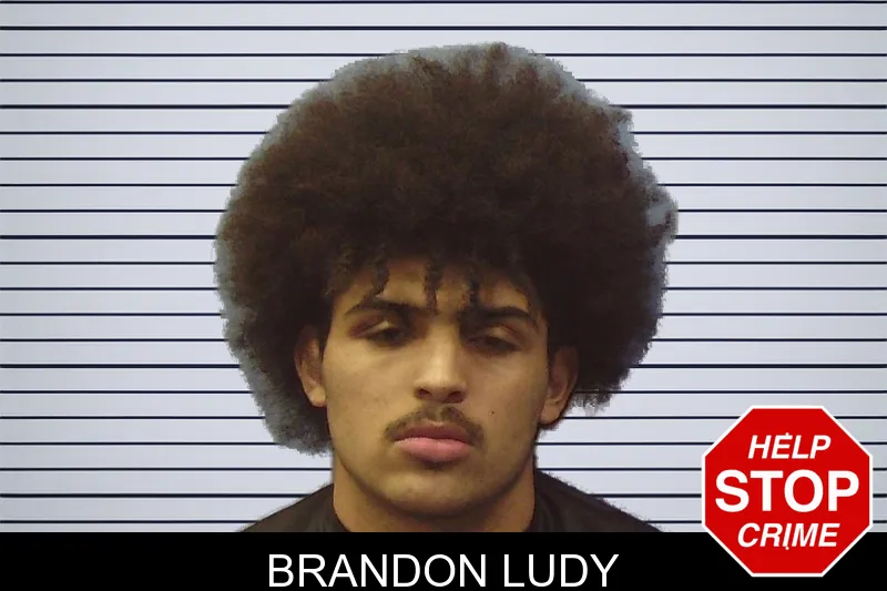 Brandon Ludy mugshot – Chattooga County , Georgia Brandon Ludy mugshot