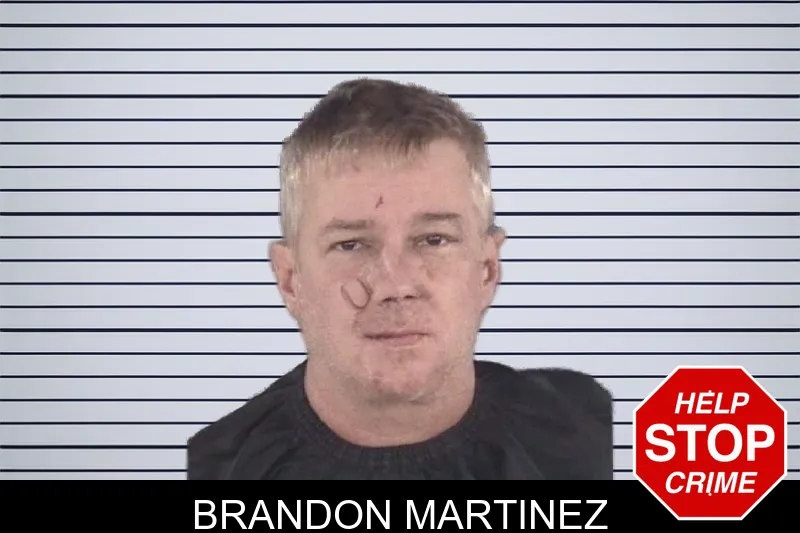Brandon Martinez mugshot