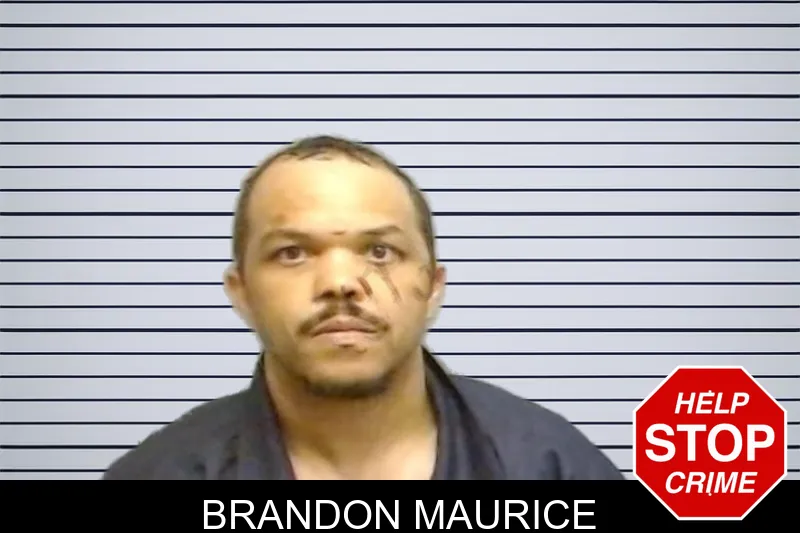 Brandon Maurice mugshot