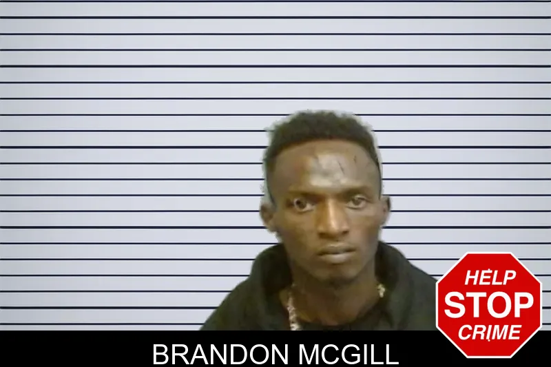 Brandon McGill mugshot