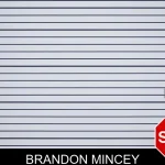Brandon Mincey mugshot