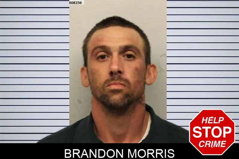 Brandon Morris mugshot – Chatham County , Georgia Brandon Morris mugshot