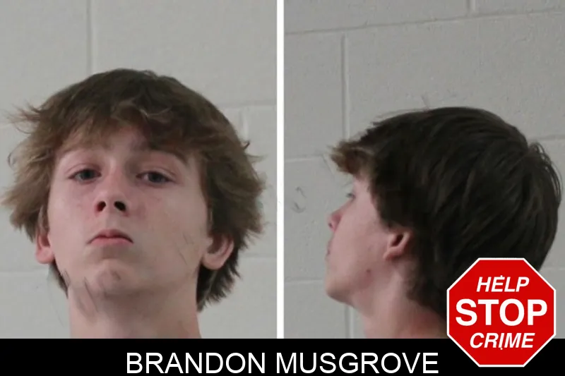 Brandon Musgrove mugshot – Houston County , Georgia Brandon Musgrove mugshot