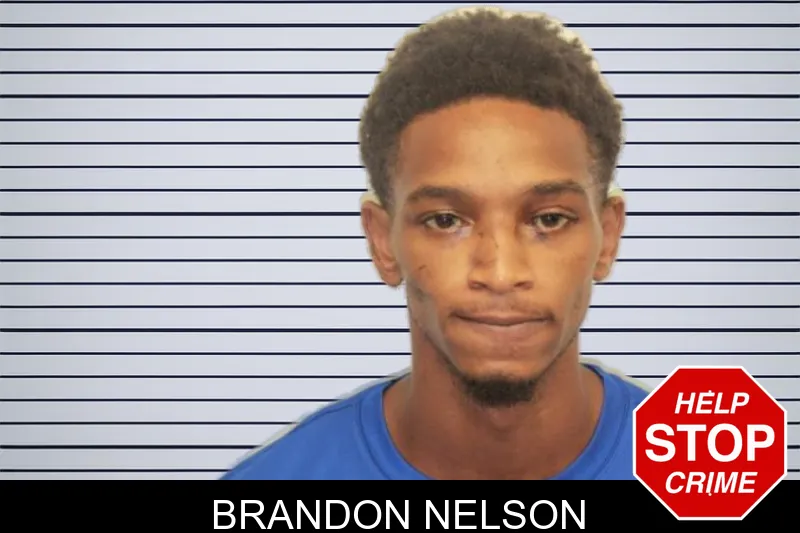 Brandon Nelson mugshot – Chatham County , Georgia Brandon Nelson mugshot