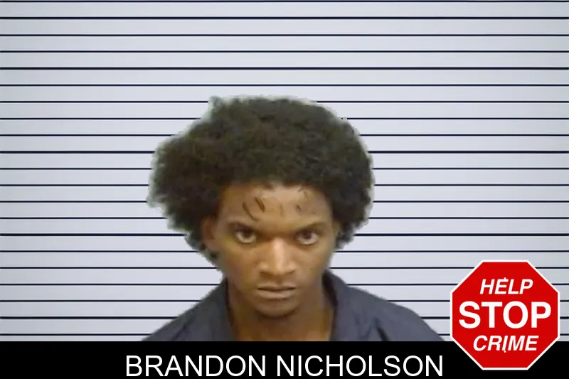 Brandon Nicholson mugshot – Fulton County , Georgia Brandon Nicholson mugshot
