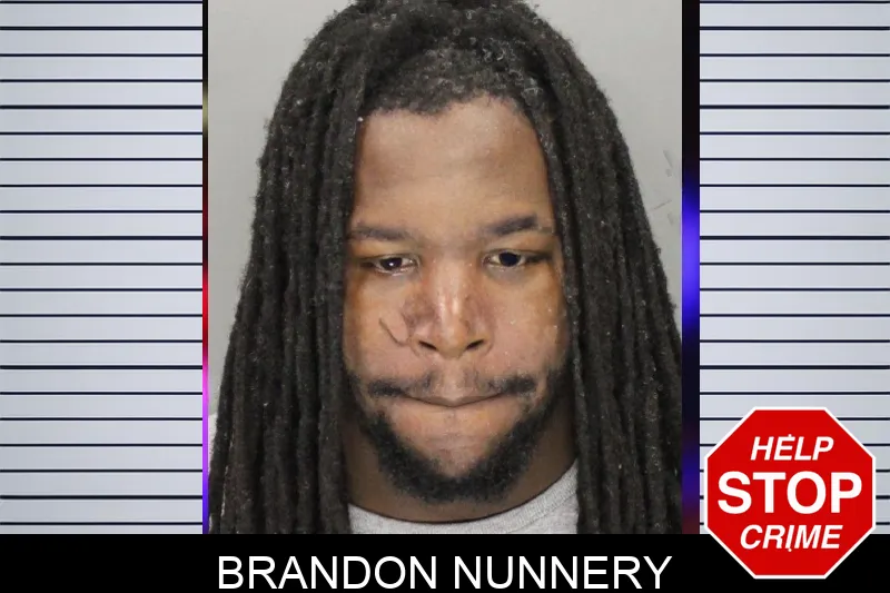 Brandon Nunnery mugshot