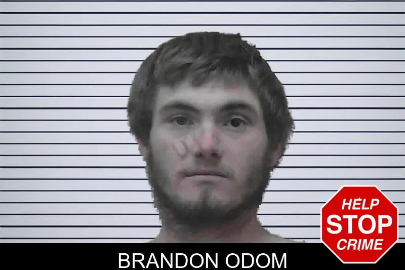 Brandon Odom mugshot