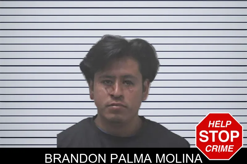 Brandon Palma Molina mugshot – Coweta County , Georgia Brandon Palma Molina mugshot