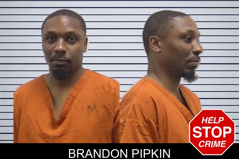 Brandon Pipkin mugshot