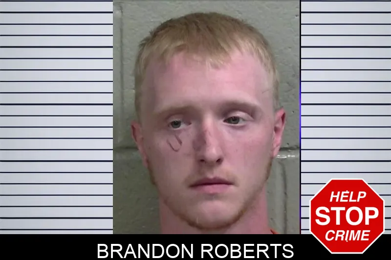 Brandon Roberts mugshot