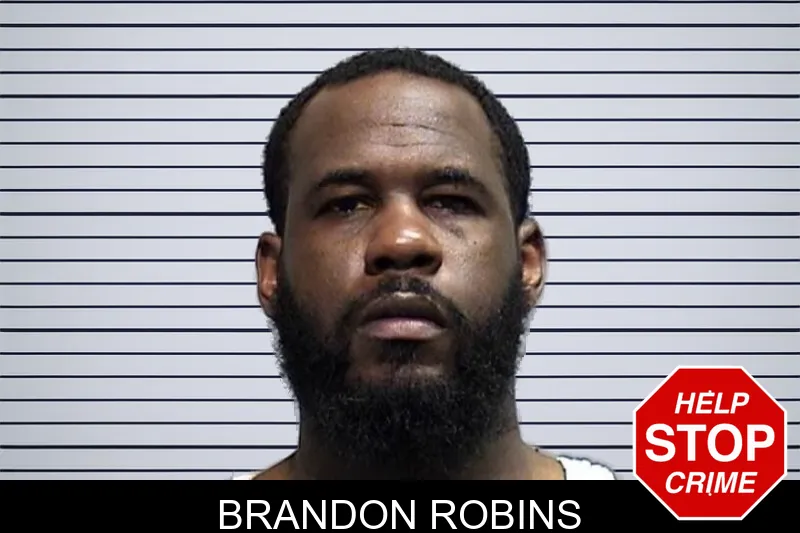Brandon Robins mugshot – Effingham County , Georgia Brandon Robins mugshot