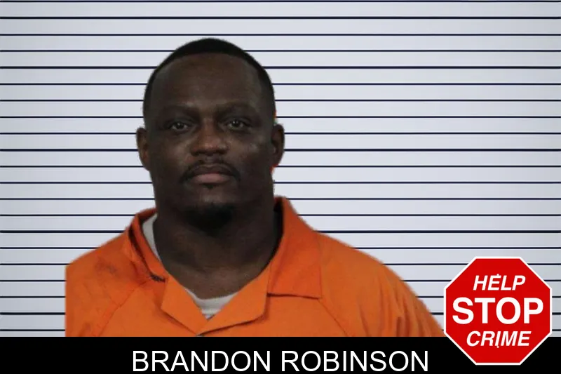 Brandon Robinson mugshot