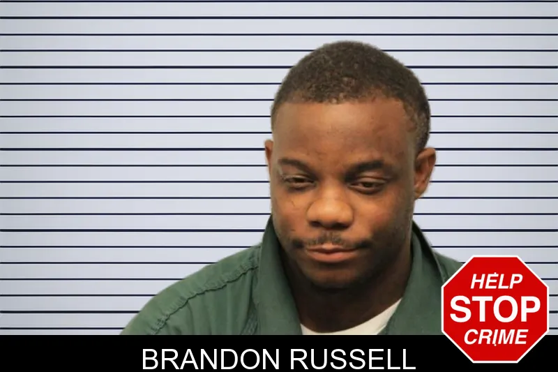Brandon Russell mugshot – Chatham County , Georgia Brandon Russell mugshot