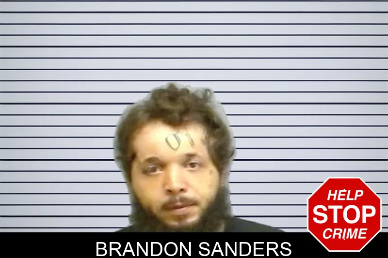 Brandon Sanders mugshot
