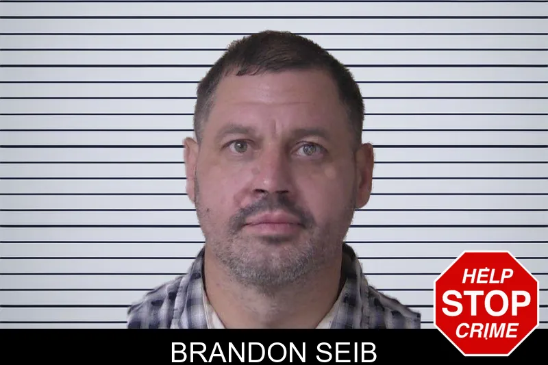 Brandon Seib mugshot