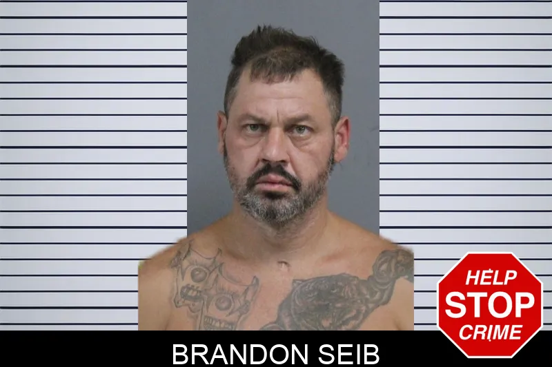 Brandon Seib mugshot
