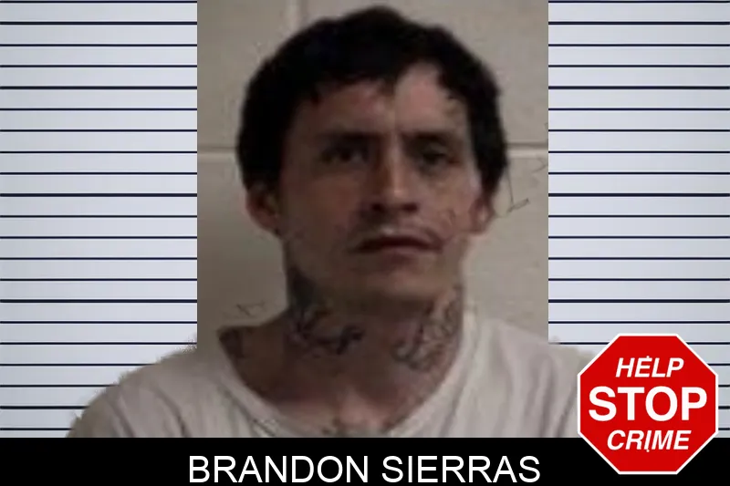 Brandon Sierras mugshot – Henry County , Georgia Brandon Sierras mugshot