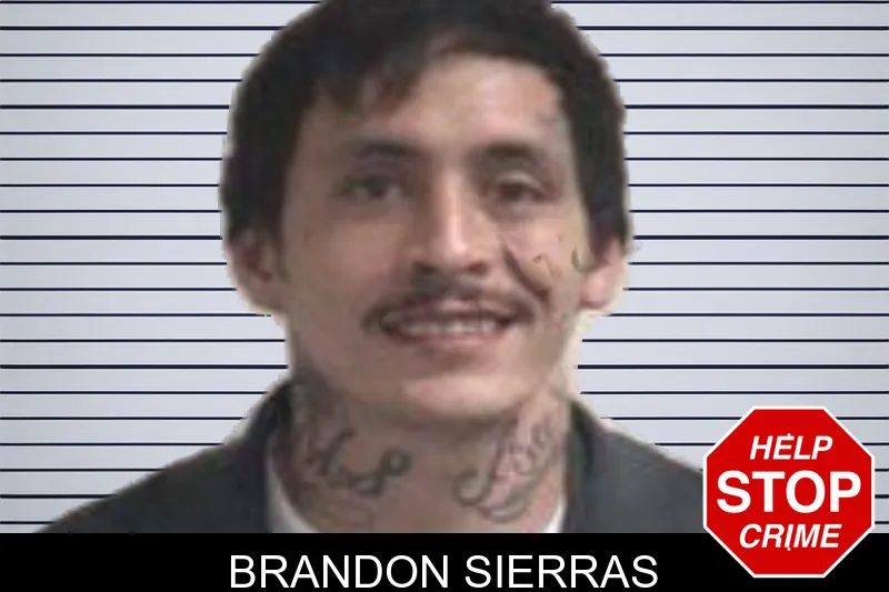 Brandon Sierras mugshot