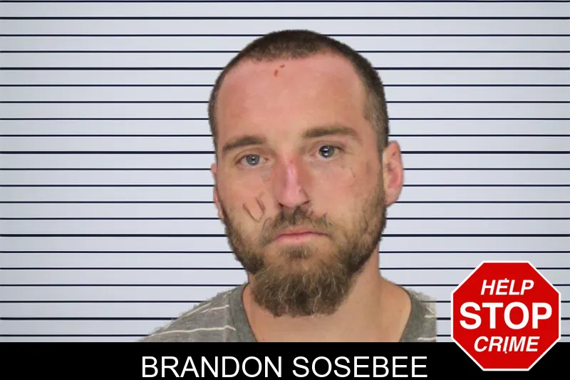 Brandon Sosebee mugshot – Cobb County , Georgia Brandon Sosebee mugshot