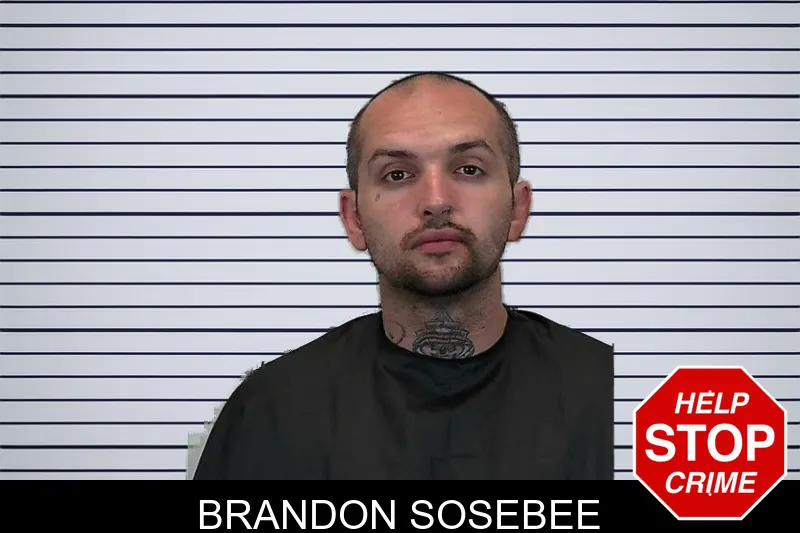 Brandon Sosebee mugshot