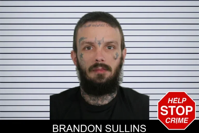 Brandon Sullins