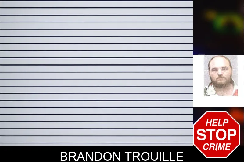 Brandon Trouille mugshot