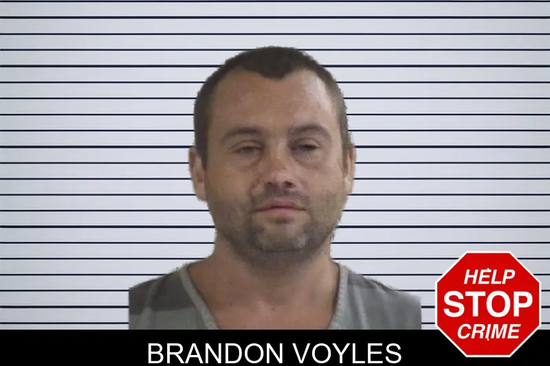 Brandon Voyles mugshot