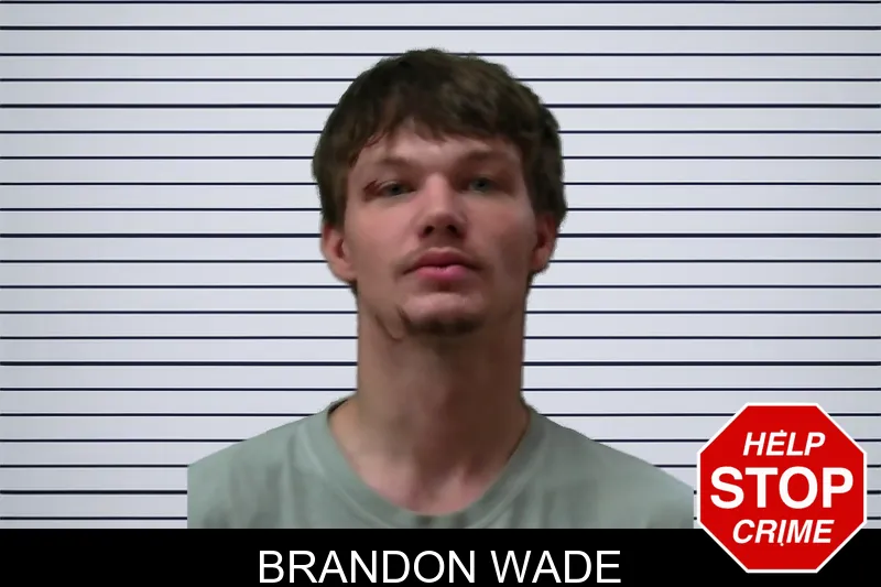 Brandon Wade mugshot