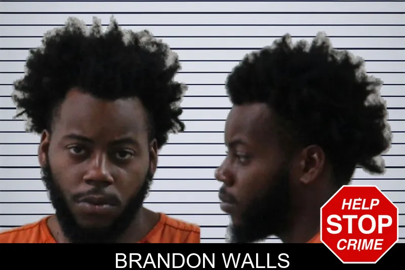 Brandon Walls mugshot