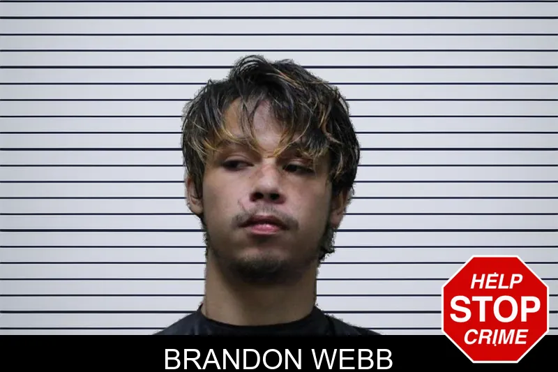 Brandon Webb mugshot