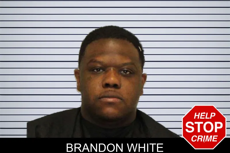 Brandon White mugshot – Carroll County , Georgia Brandon White mugshot