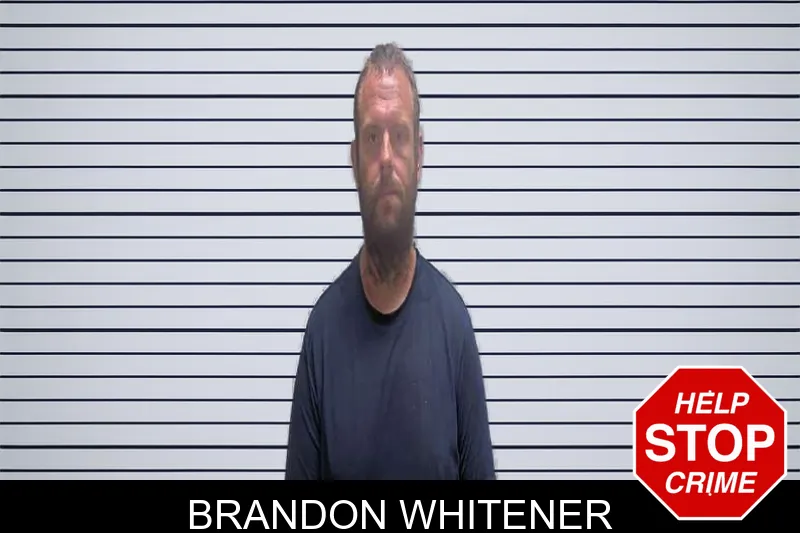 Brandon Whitener mugshot