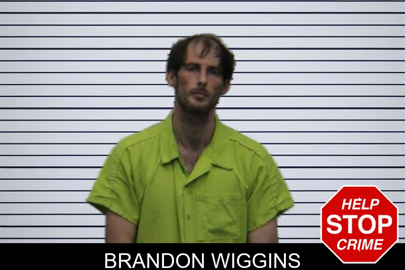 Brandon Wiggins mugshot – Turner County , Georgia Brandon Wiggins mugshot