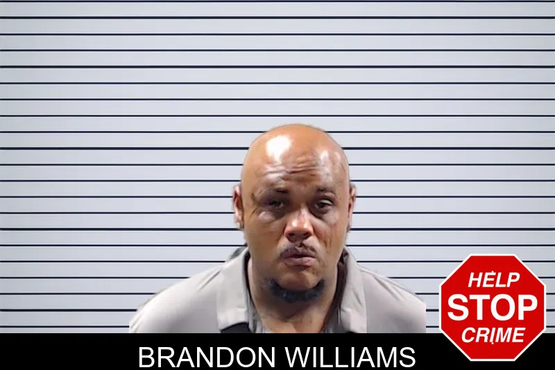 Brandon Williams mugshot