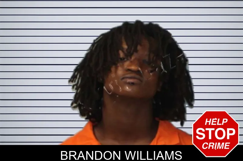 Brandon Williams mugshot – Seminole County , Georgia Brandon Williams mugshot
