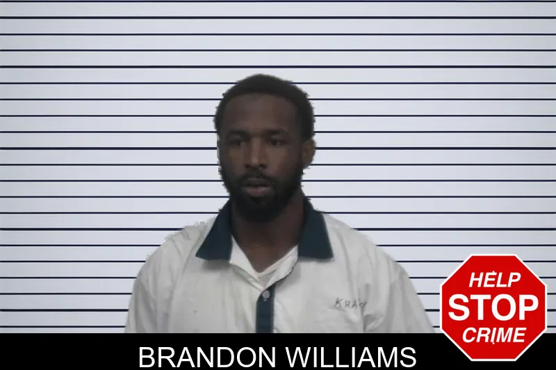 Brandon Williams mugshot